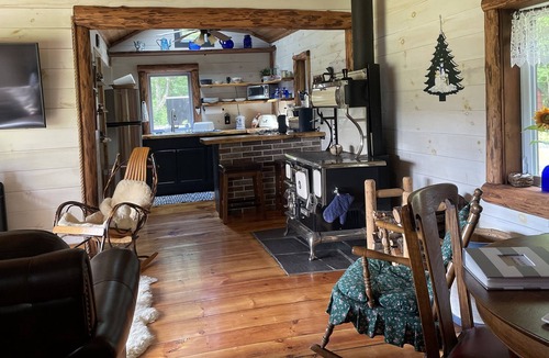 Jay Cabin | Cozy Cabin immersed in nature. Close to skiing, snowmobiling, hiking and biking.