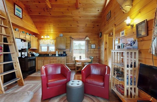 Greenville House | Cozy cabin in spectacular lakefront location with great views - dog-friendly