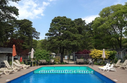 Bass River Cabin | Cozy Cape Cod Retreat Pet-Friendly, Near Beaches, Golf & Family Fun-Cabin 18