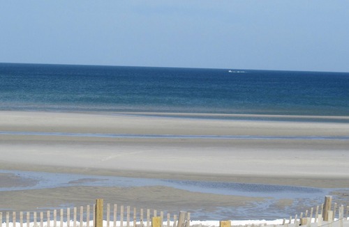 South Dennis Cottage | Cozy Cottage. Close to the Beach!