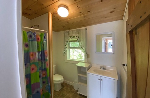 Salisbury Cabin | Cozy cottage with views of Lake Dunmore and mountains