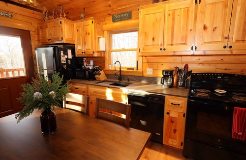 Norway Cabin | Cozy Log Cabin, Sleeps 6, Pet Friendly!