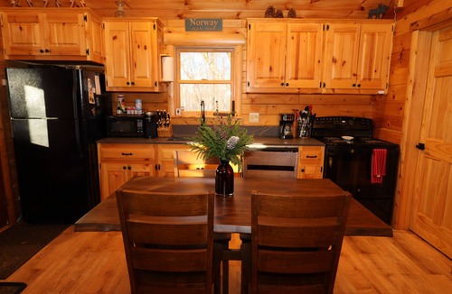 Norway Cabin | Cozy Log Cabin, Sleeps 6, Pet Friendly!