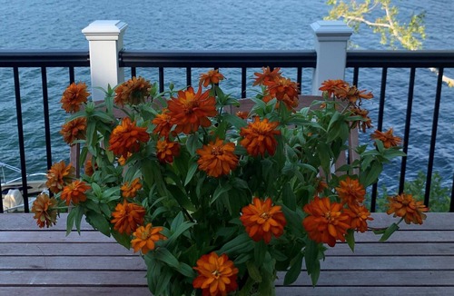 Alton House | Cozy Winnipesaukee private direct waterfront home!