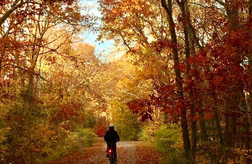 Falmouth Cottage | CozyCottage@FrederickWilliamHouse, on ShiningSea Bikeway, Bikes Included