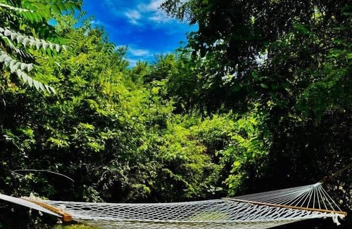 Jefferson Heights House | Creekview Catskill Lodge w/Canoes & Mtn Views