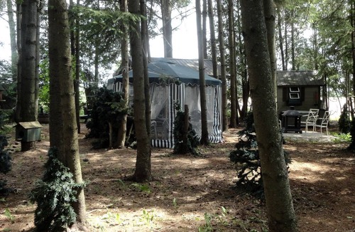 Mount Forest Cabin | Cute Cozy Tiny House Surrounded by Trees for a Unique Couples Escape in Mt Forest, Ontario