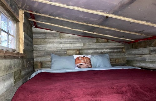 Markdale Cabin | Cute Wooden Cabin with Pond Views in Ontario