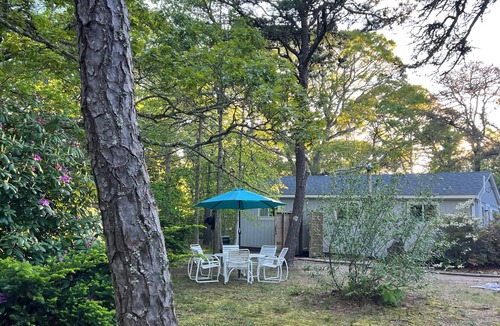 North Eastham Cottage | Driftwood Cottages - all 3 units
