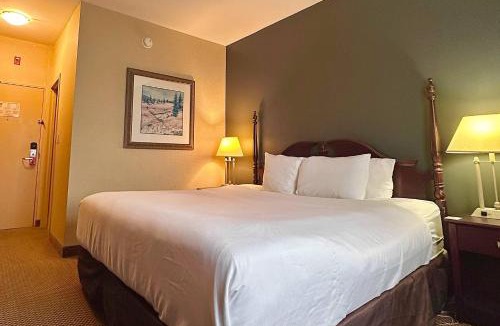 Sunnyside Cabin | Econo Lodge City Centre