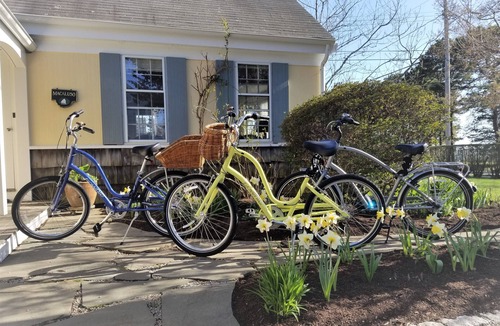 Falmouth House | Enjoy the Sunset Over Salt Pond. Walk to Beach. Pets welcome. Kayaks/SUP/Bikes