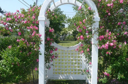 Falmouth House | Enjoy the Sunset Over Salt Pond. Walk to Beach. Pets welcome. Kayaks/SUP/Bikes