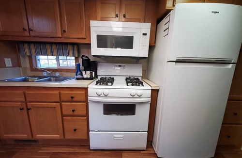 East Falmouth Cabin | Escape to our Cabin in the Pines in beautiful East Falmouth on Sunny Cape Cod.