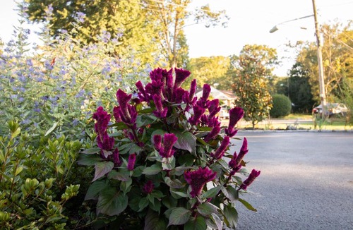 Central Islip Apartment | Exceptional & Central, Garden Suite, Top Amenities & Care!