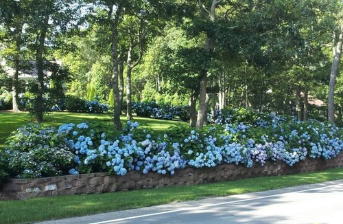 East Harwich House | Exceptional mid-Cape oasis with many amenities!