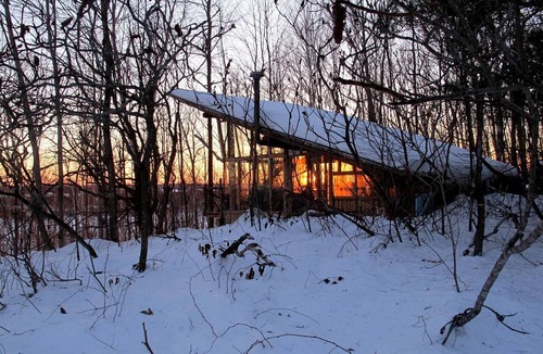 Plantagenet Cabin | Extraordinary Tree House-Style Glamping Cabin on Farm near Ottawa