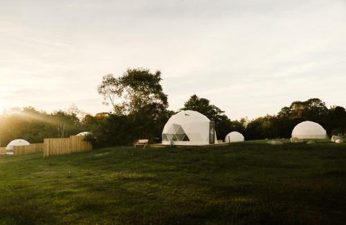 Brooksville Other | Ferncrest Acadia