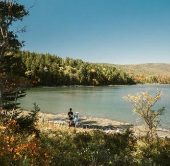 Brooksville Other | Ferncrest Acadia