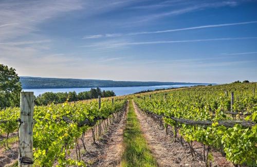 Hector House | Finger Lakes Farm Retreat: Walk to Wineries!