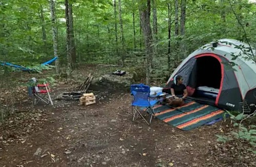 Harris RV Rental | Forest Camping Near Bethel Woods, 15 minutes to Bethel Woods Concerts, Casino,