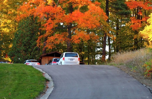 King Villa | Forest Villa for Large Group with Outdoor Pool and indoor Swim Spa-Pet friendly