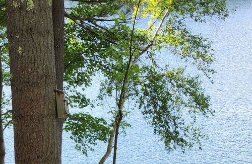 Moultonborough House | Fully Remodeled Kanasatka Private Retreat - Boat, Swim, Fish, Snowmobile & More