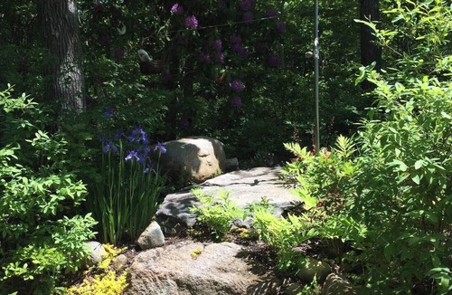 Vineyard Haven House | Gorgeous 3-bedroom house with AC in West Tisbury
