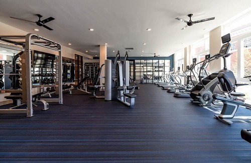 The Hill Apartment | Gorgeous Modern Apt w/ Rooftop | Downtown at Yale