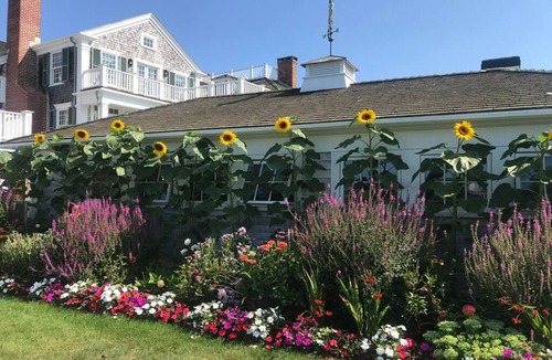 Edgartown Cottage | Harbor Front cottage for monthly rent