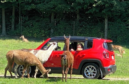 Dale House | Hidden Valley Animal Adventure