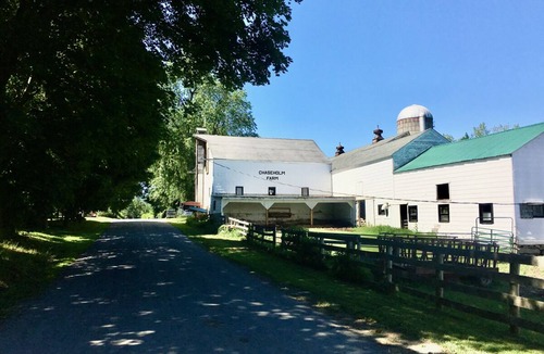 Pine Plains House | Hudson Valley Farmhouse on an Idyllic Country Lane