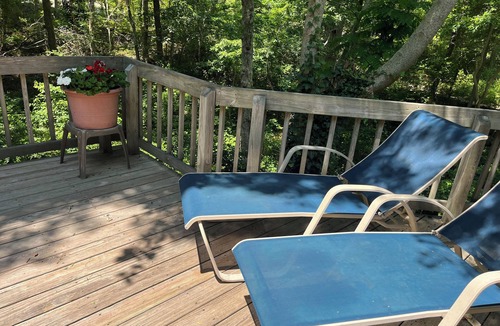 Tisbury House | In the Woods/Walk to Town: Shared house w/1 other guest room