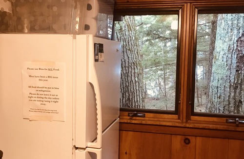 Center Harbor Cabin | Lake Front Cabin on Squam Lake/On Golden Pond