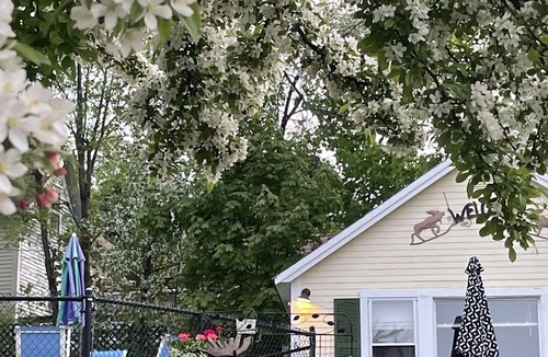 Weirs Beach Cabin | Location, Location, Location! Weirs Beach