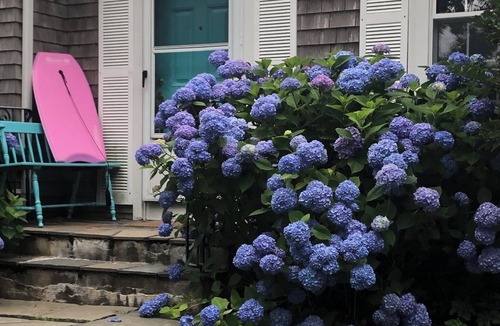 Cliff Walk House | Location! Walk to Beach/Downtown Newport Cottage