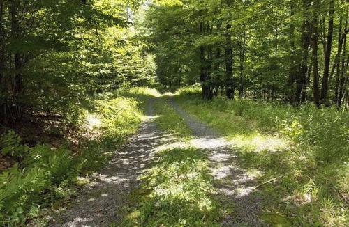 Denver House | Loft like 2BR house plus sleeping loft on 100 private wooded acres.