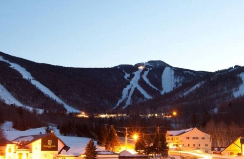 Mount Holly Cabin | Log Cabin+ 5 Min to Ski Okemo! + Hot Tub!