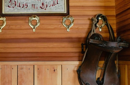 Warren Hotel | Luxury family suite and you can bring the dog!