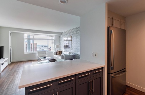 East Cambridge Apartment | Modern One Bedroom Apartment in Kendall Square