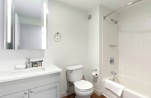 East Cambridge Apartment | Modern One Bedroom with Amenities in Cambridge, MA
