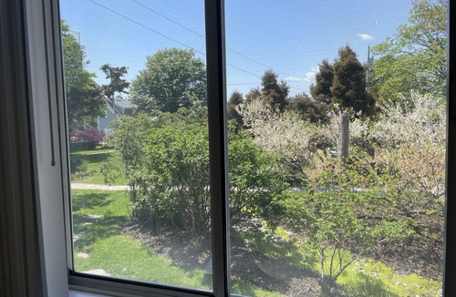 Newport East Cottage | Monthly Rental! Walk to Beach from adorable 1 bedroom cottage