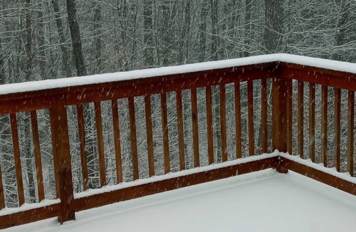Moultonborough House | New! Follow the bear tracks 🐾 and create memories that will last a lifetime