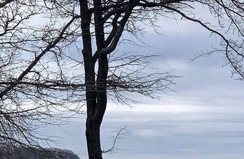 Greenport West House | NEW LISTING: Private Beach Community Escape