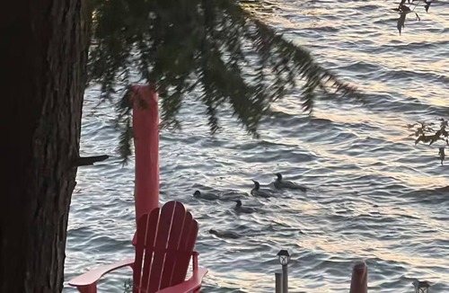 Burnt River Cottage | Nibi Haven | Four Mile Lake Retreat | Private Dock, Kayak, Paddleboard & Firepit