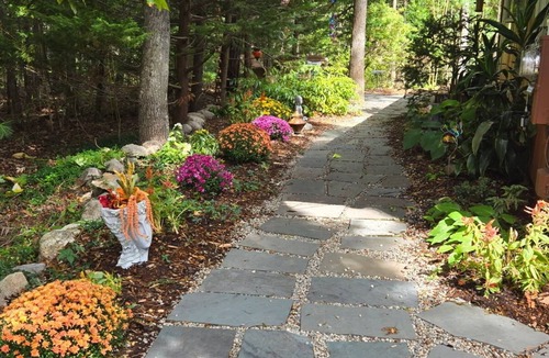 East Falmouth Apartment | Open all year! Relaxation & privacy at this cozy 1 bedroom 1 bath studio.