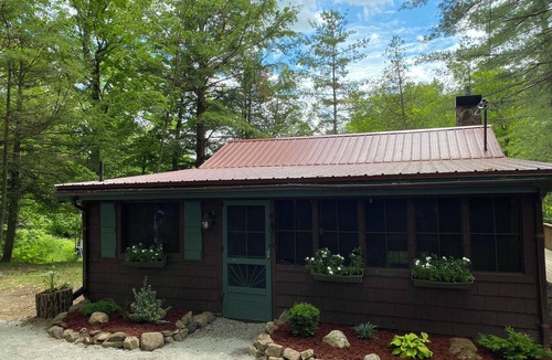 Havelock-Belmont-Methuen Cottage | Peaceful Forested Riverside Cottage with a Hot Tub, Cozy Vibes & Pets Welcome