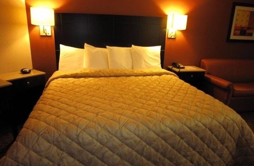 Monmouth Junction Hotel | Perfect Stay at Red Carpet Inn Monmouth! Free Breakfast!