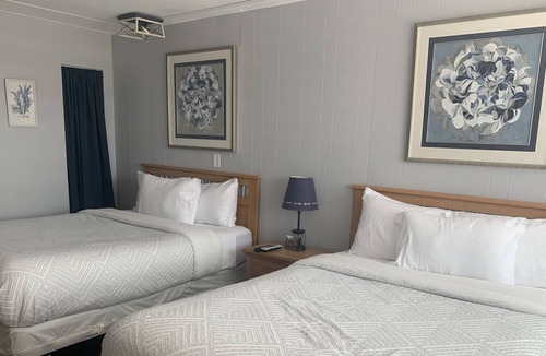 South End Apartment | Perfect Location ! Immaculately kept Studio - sleeps 4