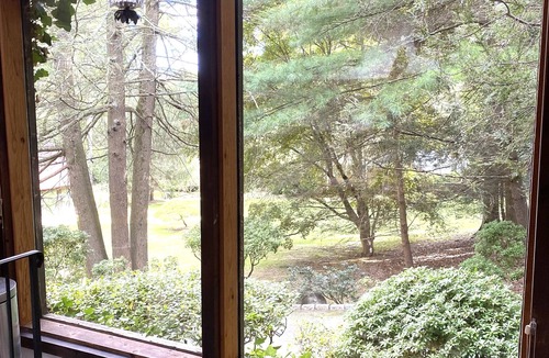 Westport Cottage | Pet Friendly Private 1 BR+1 Bed Loft Quaint Cottage w/Fireplace in Westport