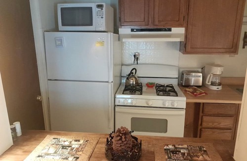 Blue Mountain Lake Cabin | Pet-Friendly Ski Getaway near Gore Mountain Ski Resort in New York